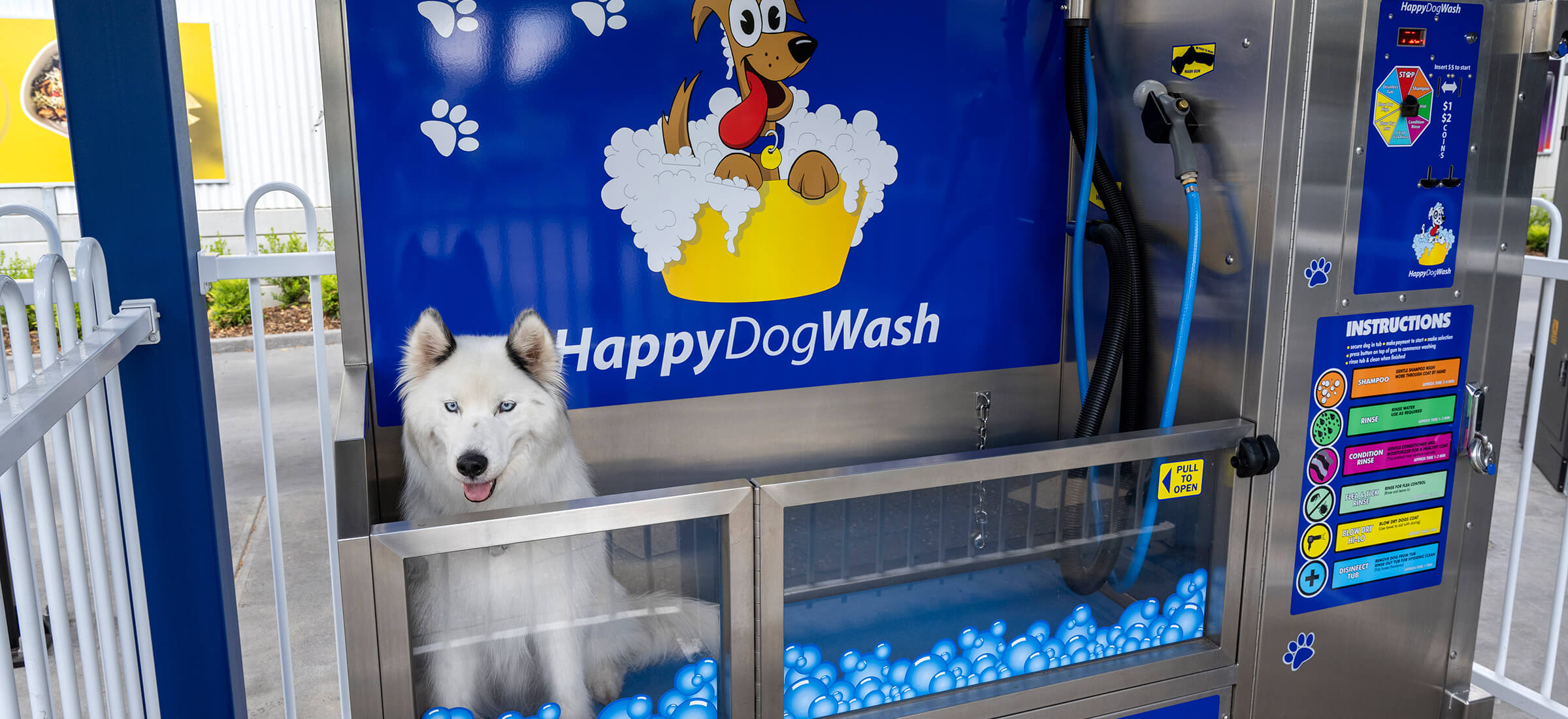 HappyDogWash - no more mess at home, no bathtub disasters and no need to leave your pooch all day at the doggy parlour
