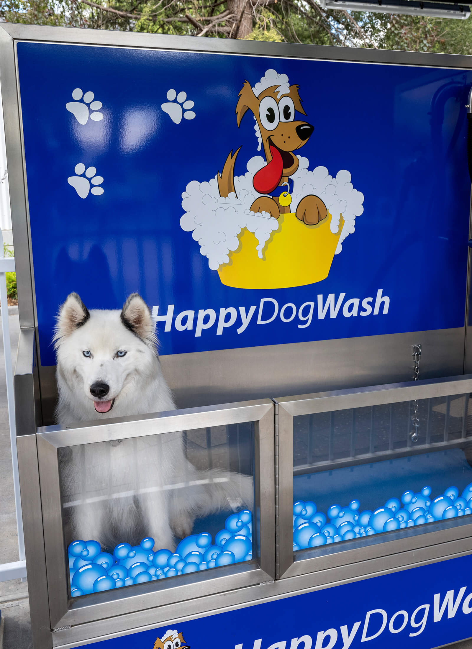 HappyDogWash - no more mess at home, no bathtub disasters and no need to leave your pooch all day at the doggy parlour