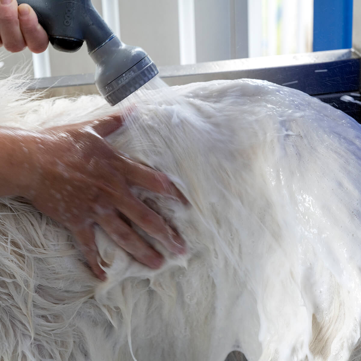 HappyDogWash - OTR now offers a new convenient and fast alternative way to wash your best friend